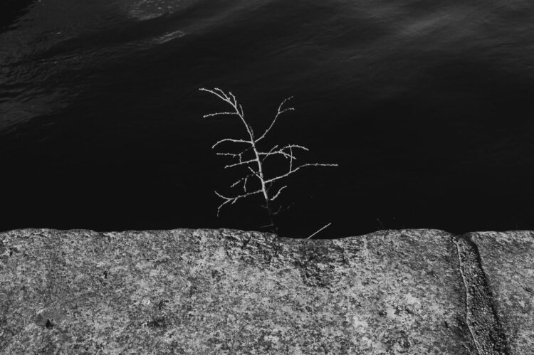 Brda | moja fotografia uliczna <002>